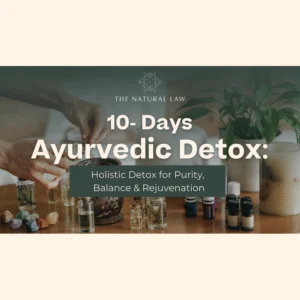 Ayurvedic Detox Journey
