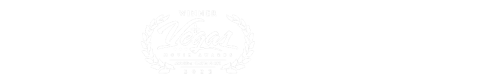 Award-winning film — official selections & festival honors