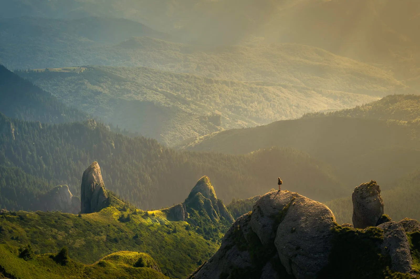 Beyond Defense: Rethinking Autoimmune Imbalance Through Ayurveda