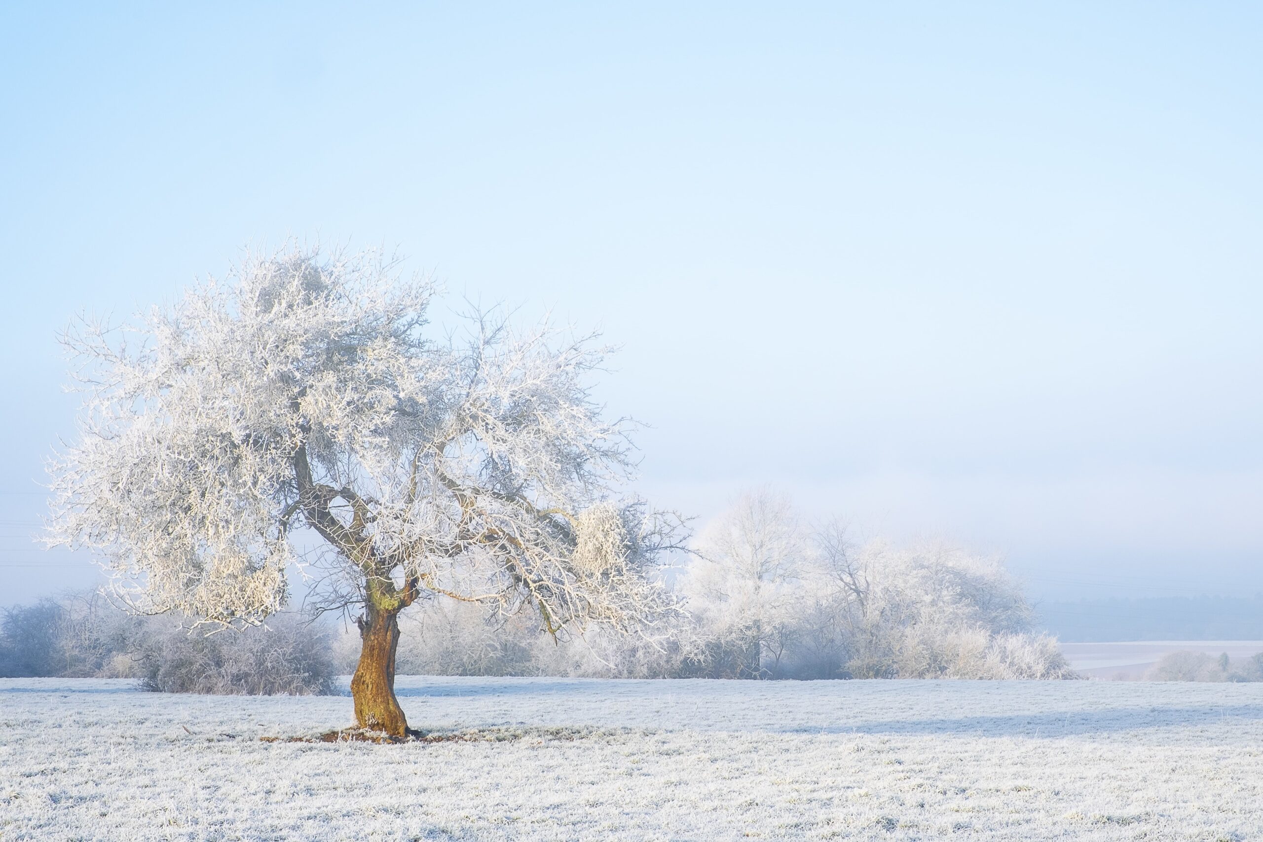 The Seasonal Science of the Winter Mind