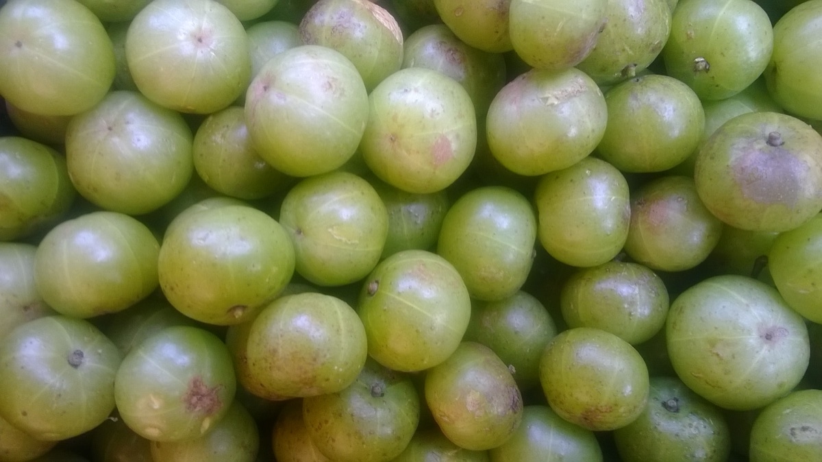 A heap of round, pale green amla fruits (Indian gooseberry), some with a pink blush