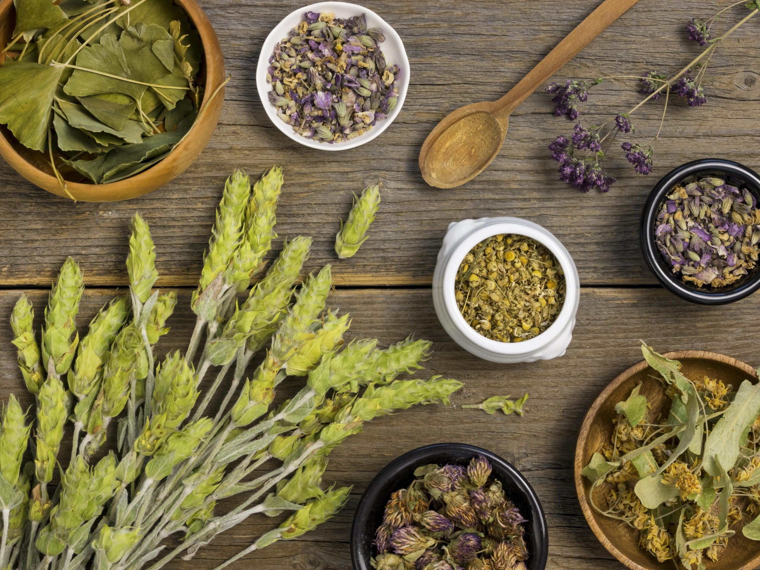 The Living Pharmacy: Ayurvedic Herbs for Whole-Body Harmony