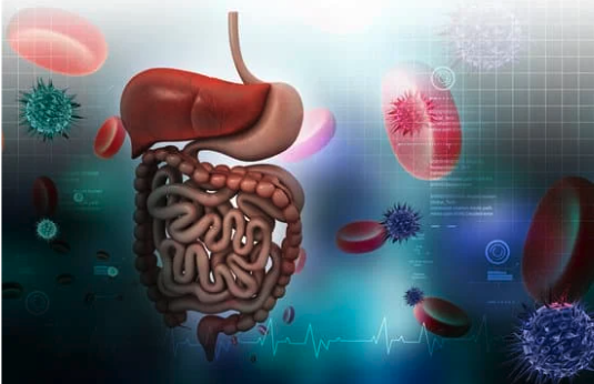 The Secret to a Healthier Gut (It’s Not What You Eat)