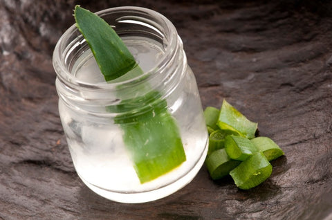 Glass jar of water with an aloe vera leaf inside and chopped aloe pieces beside it on slate