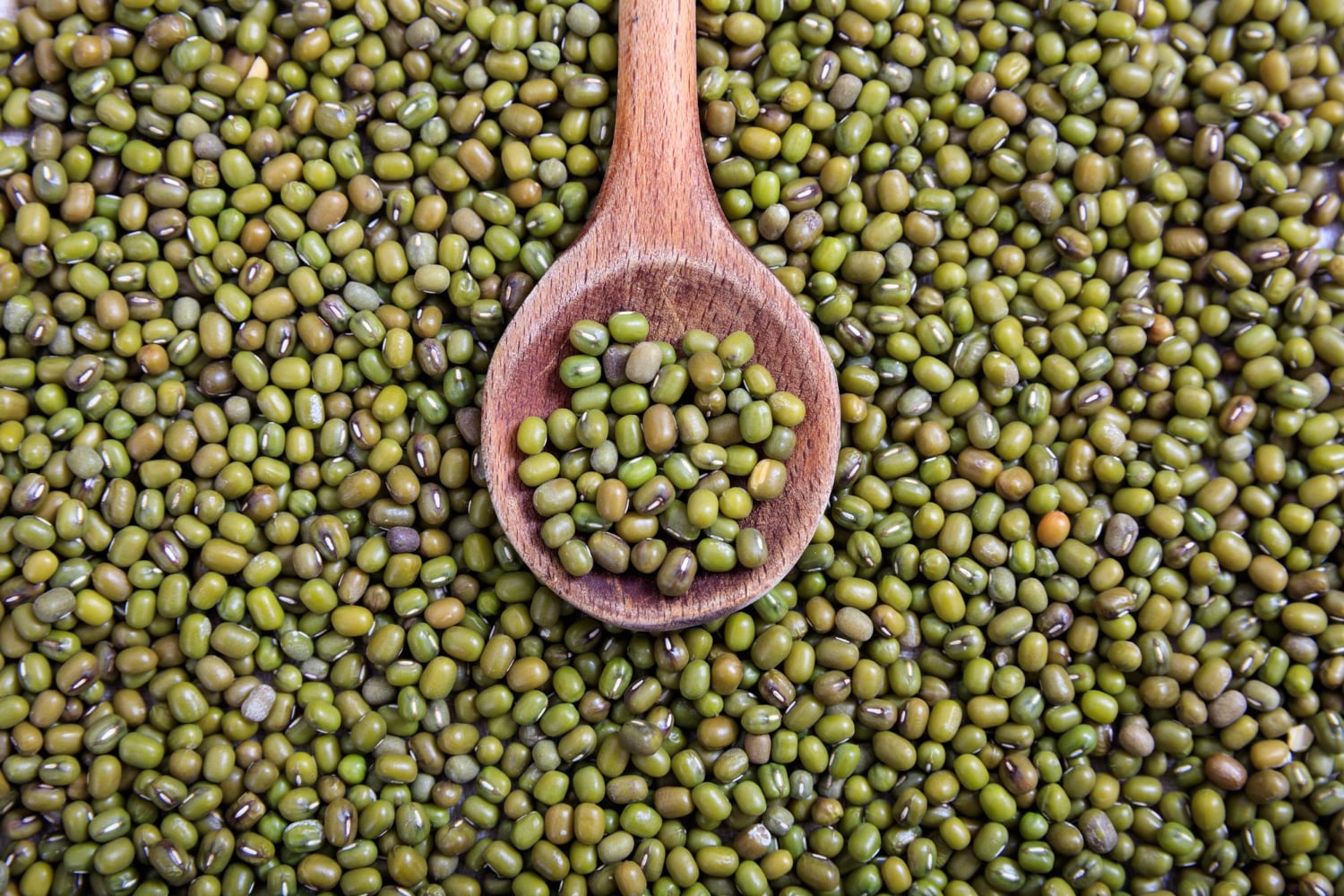 Mung: The Magic Bean That Loves Your Doshas & You