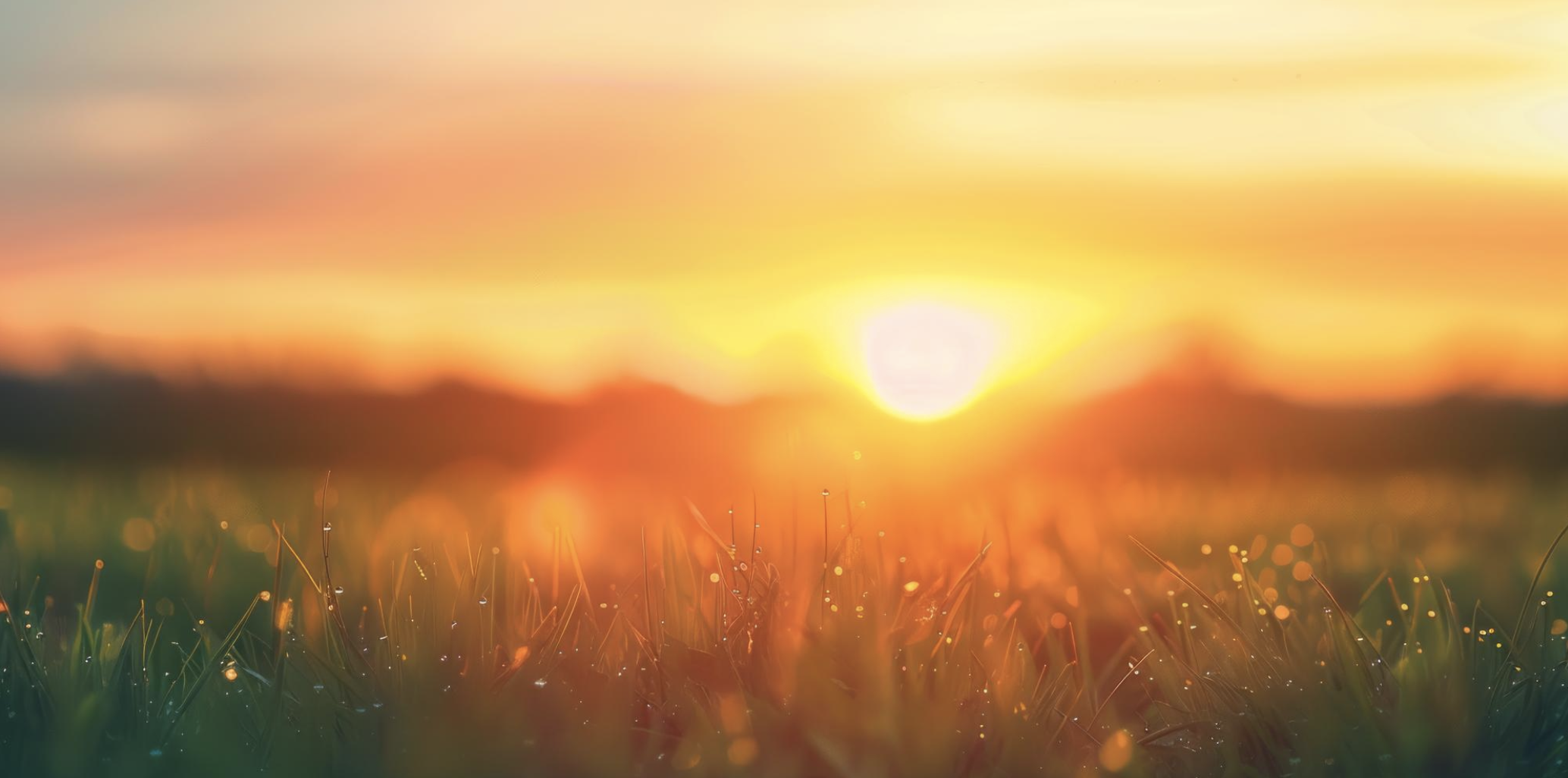 The Power of Daily Routines in Ayurveda for Lasting Well-Being