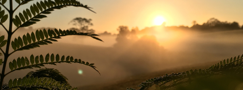 When Heat Rises: Ayurveda’s Guide to Early Signs of Inflammation