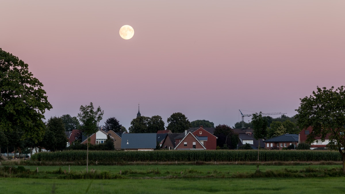 A full moon rising in a pink dusk sky over houses, trees and a green field