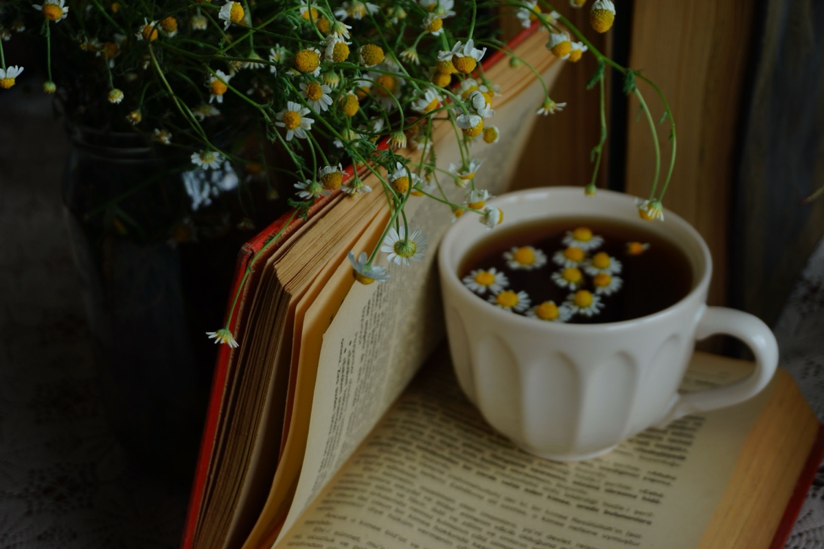 A white cup of tea with chamomile flowers floating in it, resting on an open book beside a bunch of fresh chamomile