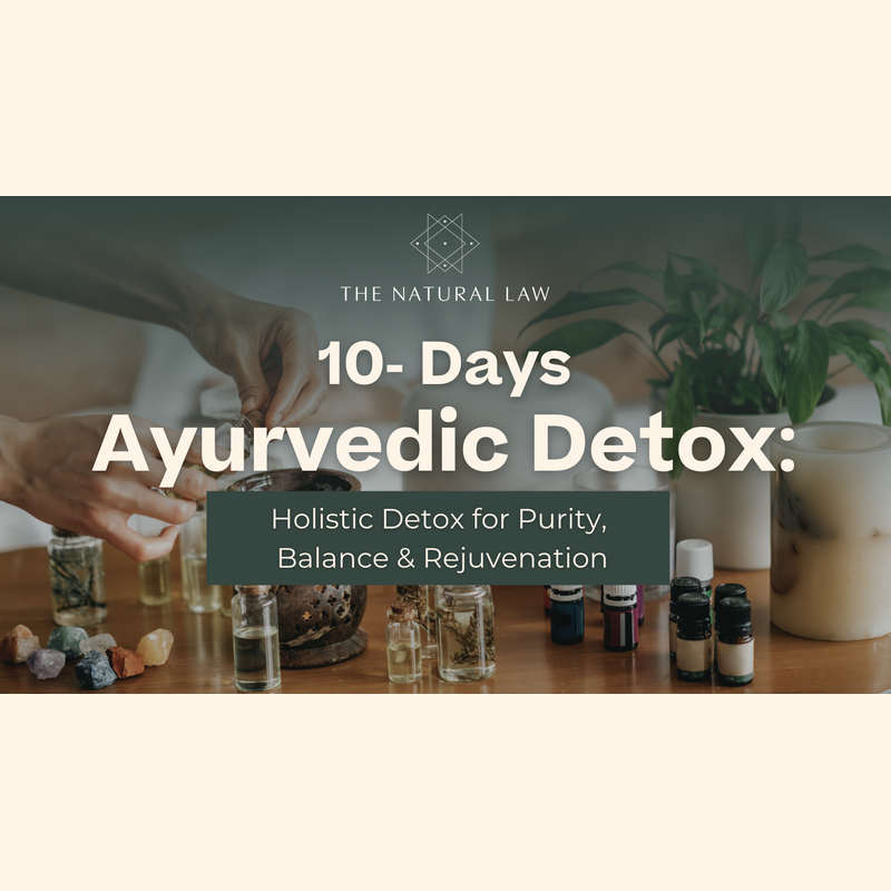 Detox Journeys
