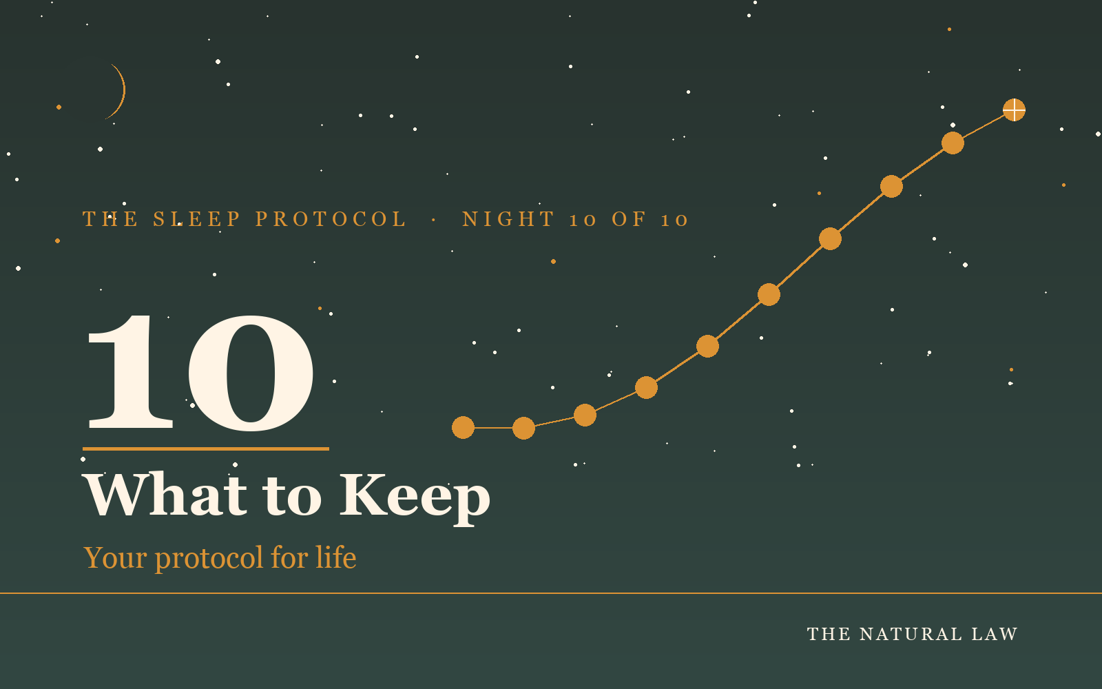 Night 10 companion guide cover, the constellation complete