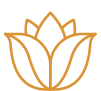 Gold line icon of a lotus flower, marking the Pitta section