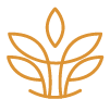 Gold line icon of a sprouting plant with leaves, marking the Kapha section