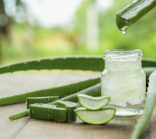 Aloe vera gel in a glass jar beside cut aloe leaves on a wooden table