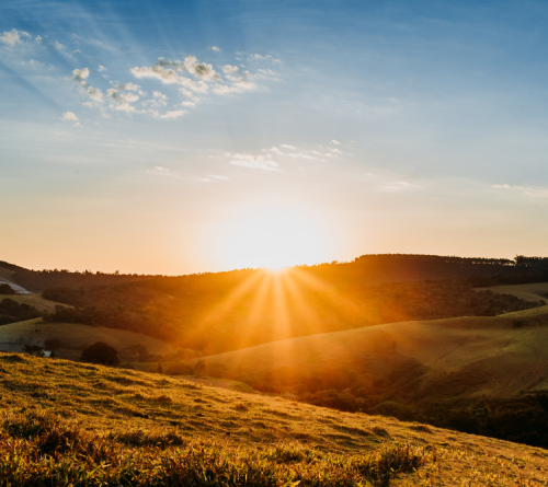 Sun shining low over rolling green hills under a blue sky